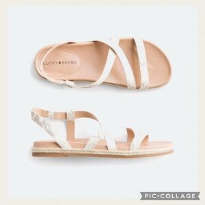 NEW Lucky Brand Cream Gray Reptile Print Straw Sole Bohemian Strappy Sandals
